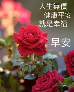 早安史壯|幸福史壯: 早安